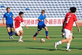 足球小将董路直播感谢比亚迪引发热议